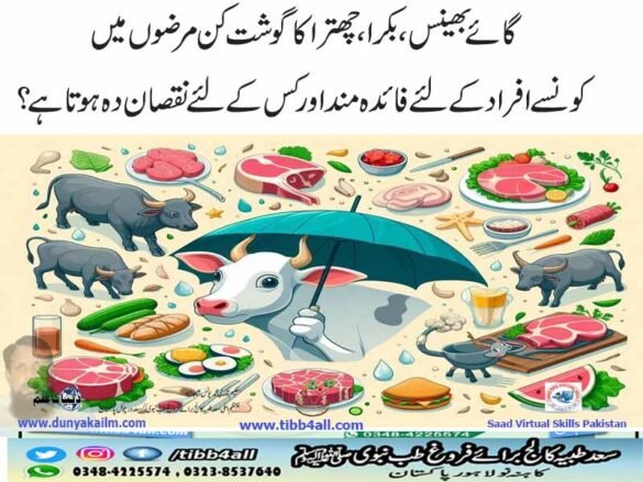 گائے بھینس،بکرا،چھترا کا گوشت کن مرضوں میں کونسے افراد کے لئے فائدہ مند اور کس کے لئے نقصان دہ ہوتا ہے؟