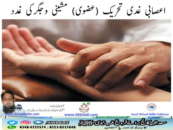 غدد و جگر كى مشينى (عضوي) تحريك غدى اعصابي