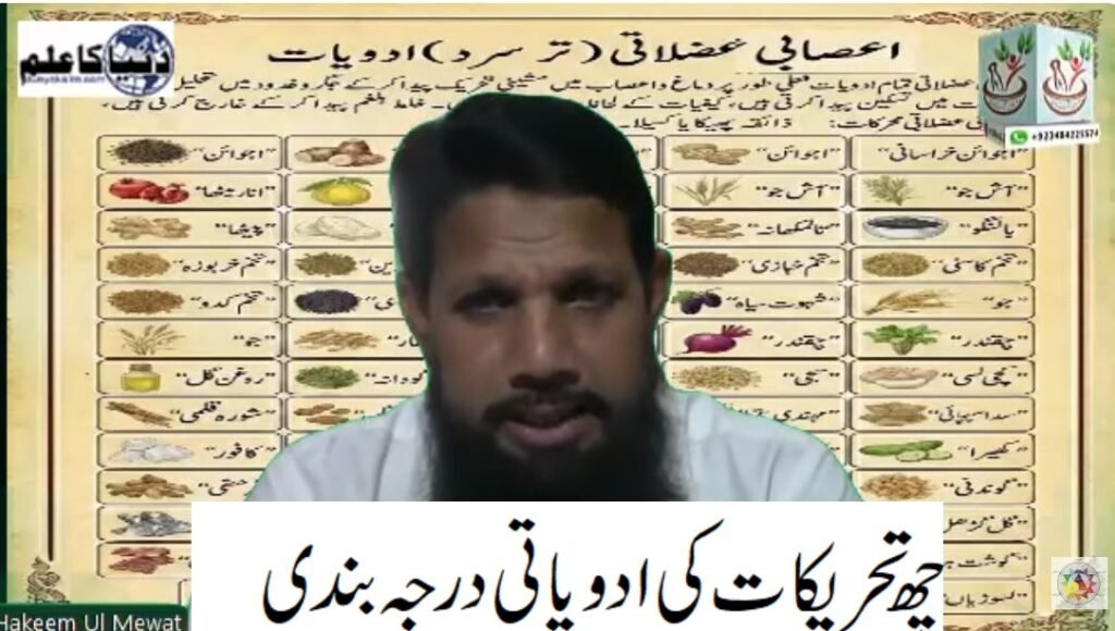 چھ تحریکات کی ادویاتی درجہ بندی