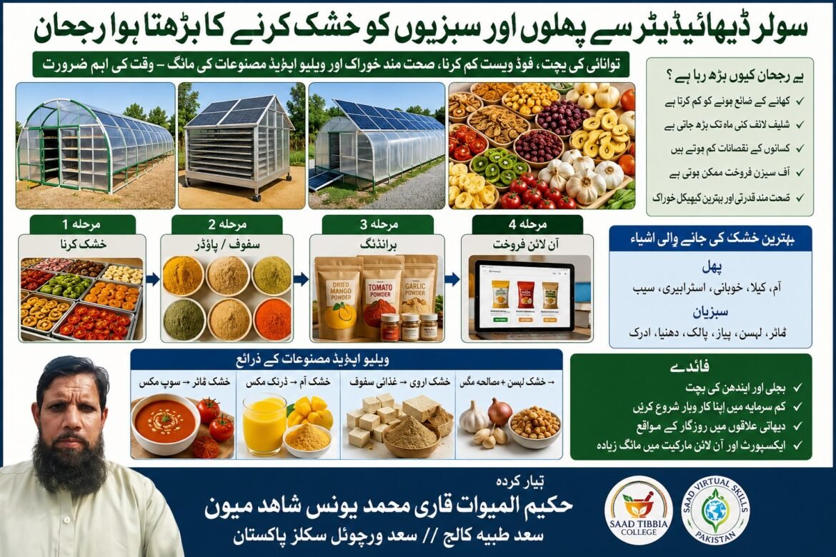 سولر ڈیہائیڈریٹر سے پھلوں اور سبزیوں کو خشک کرنے کا بڑھتا ہوا رجحان
